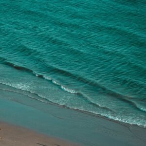 HOME Menu Banner Honey Cace Horse Lifestyle-Kuratorin Algarve 1200 x 704 px